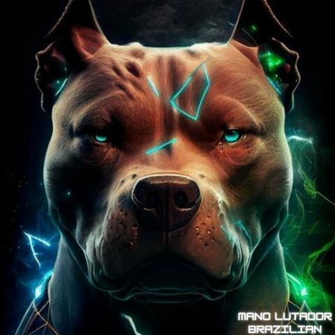 Mano Lutador Brazillian