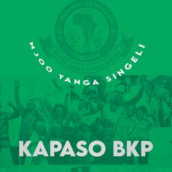 Njoo Yanga Singeli