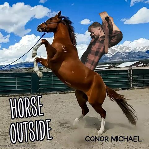 Horse Outside