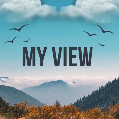 My View