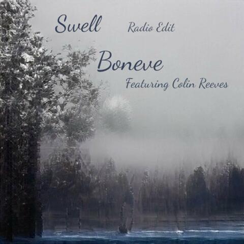 Swell (Radio Edit)