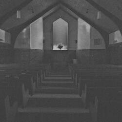 Everyone (Bonus Track)