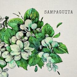 Sampaguita
