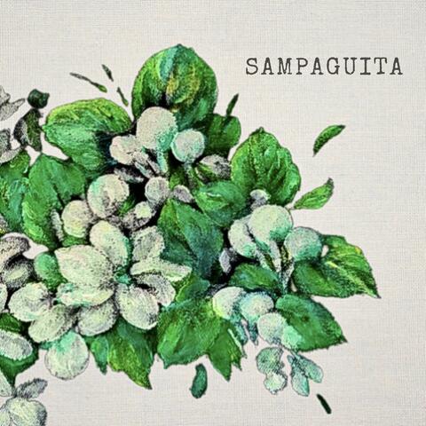 Sampaguita