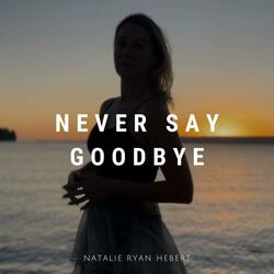 Never Say Goodbye