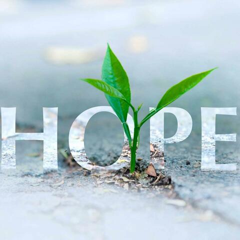 Hope