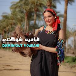 الباميه شوكتني