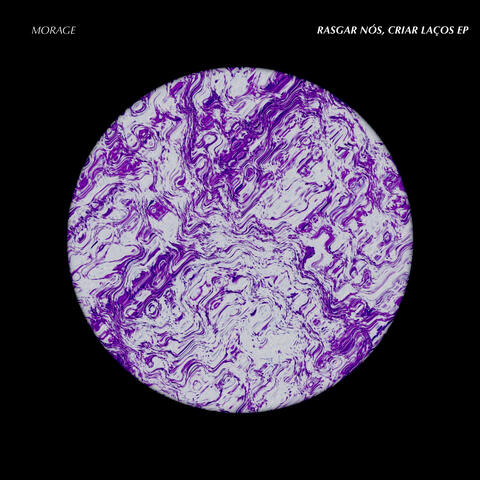 Rasgar Nós, Criar Laços