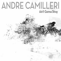 I'm Ready (To Rock N' Roll)