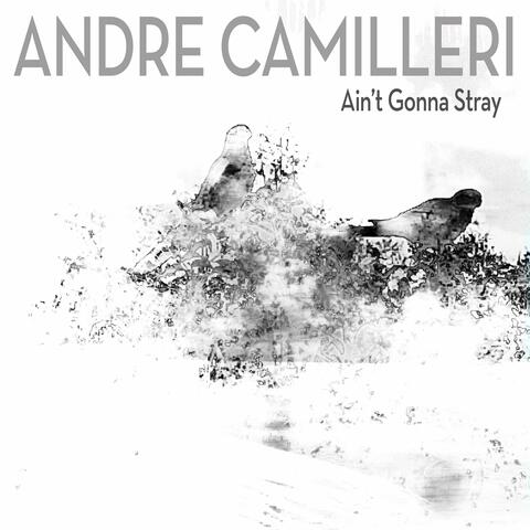 Ain't Gonna Stray
