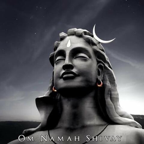 Om Namah Shivay