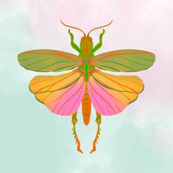 Grasshoppers