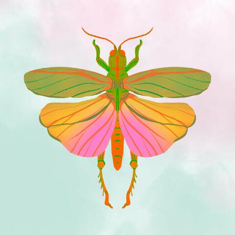 Grasshoppers