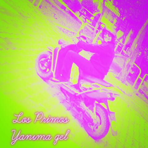 Yanima Gel