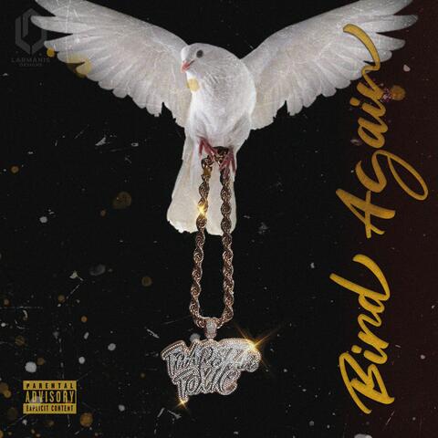Bird Again