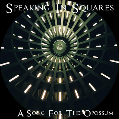 A Song for the Opossum
