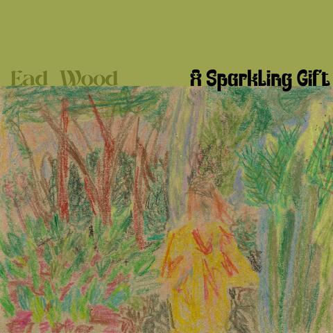 A Sparkling Gift