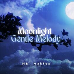 Moonlight Gentle Melody