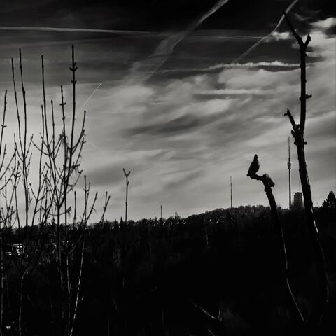 Barren Prairie Void
