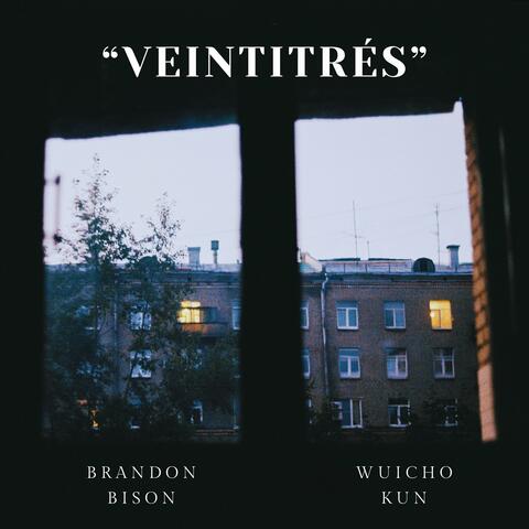 Veintitrés