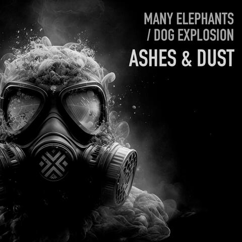 Ashes & Dust