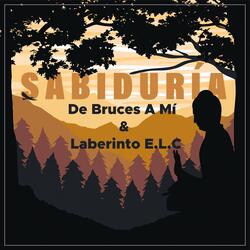 Sabiduría