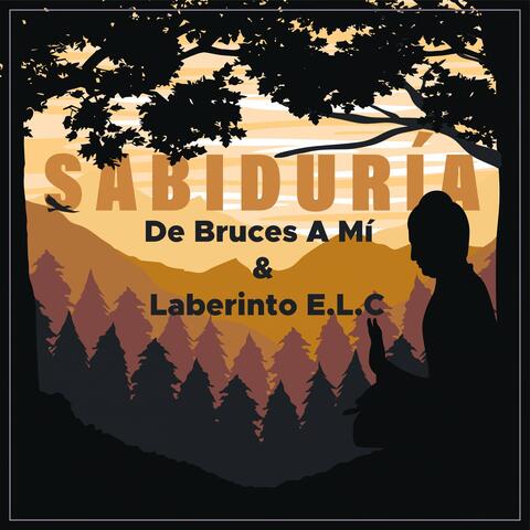 Sabiduría