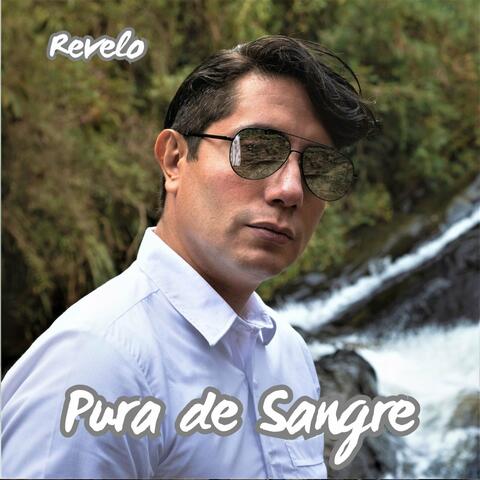 Pura de Sangre