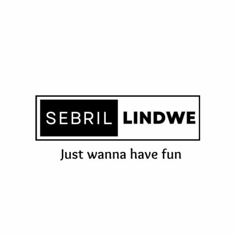 Just Wanna Have Fun