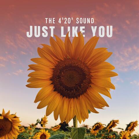 Just Like You