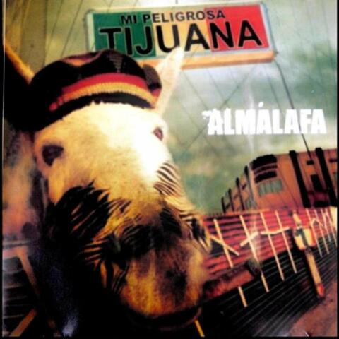 MI Preligrosa Tijuana
