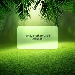 Tomay Prothom Jedin Dekhechi