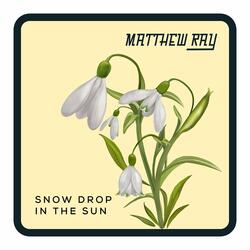 Snow Drop in the Sun