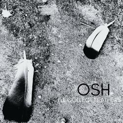 I'll Collect Feathers