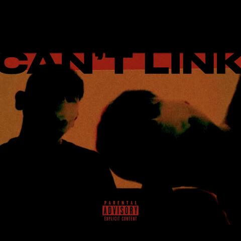 Can't Link