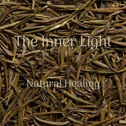 Natural Healing pt. 19 (Album Version)
