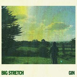 Gin