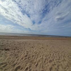 Dancing in the Rain in the Garden of Dreadful Night