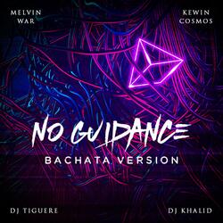 No Guidance