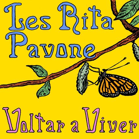 Voltar a Viver
