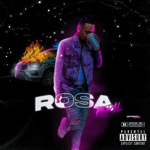ROSA PERAL