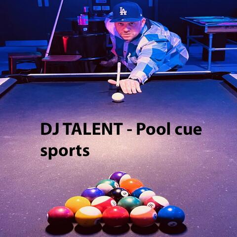 Pool Cue Sports