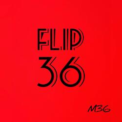 Flip 36