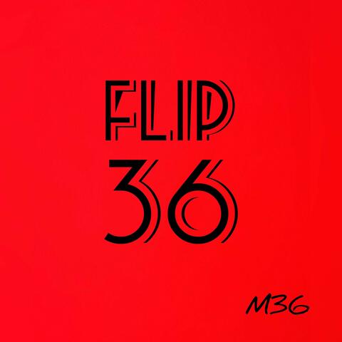 Flip 36