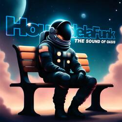 House de la Funk - The Sound Of Oasis