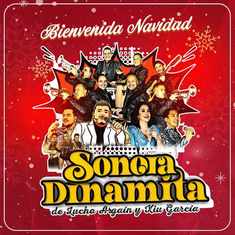 Bienvenida Navidad