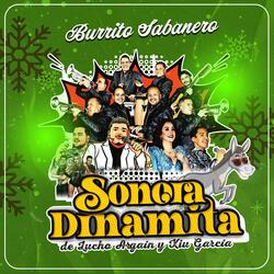 Burrito Sabanero