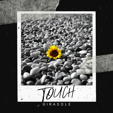 Girasole