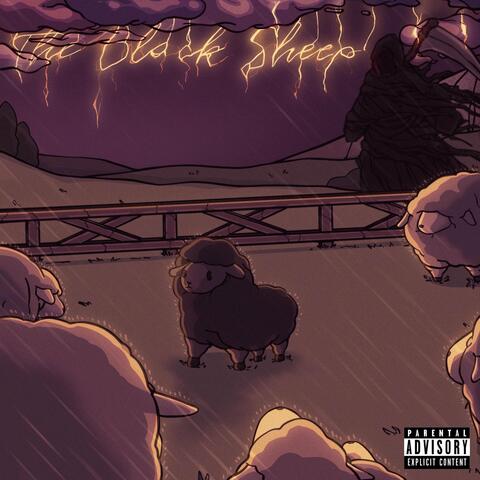 The Black Sheep