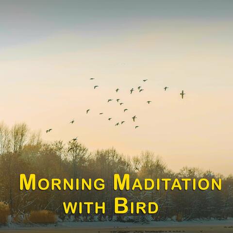 Morning Maditation with Bird